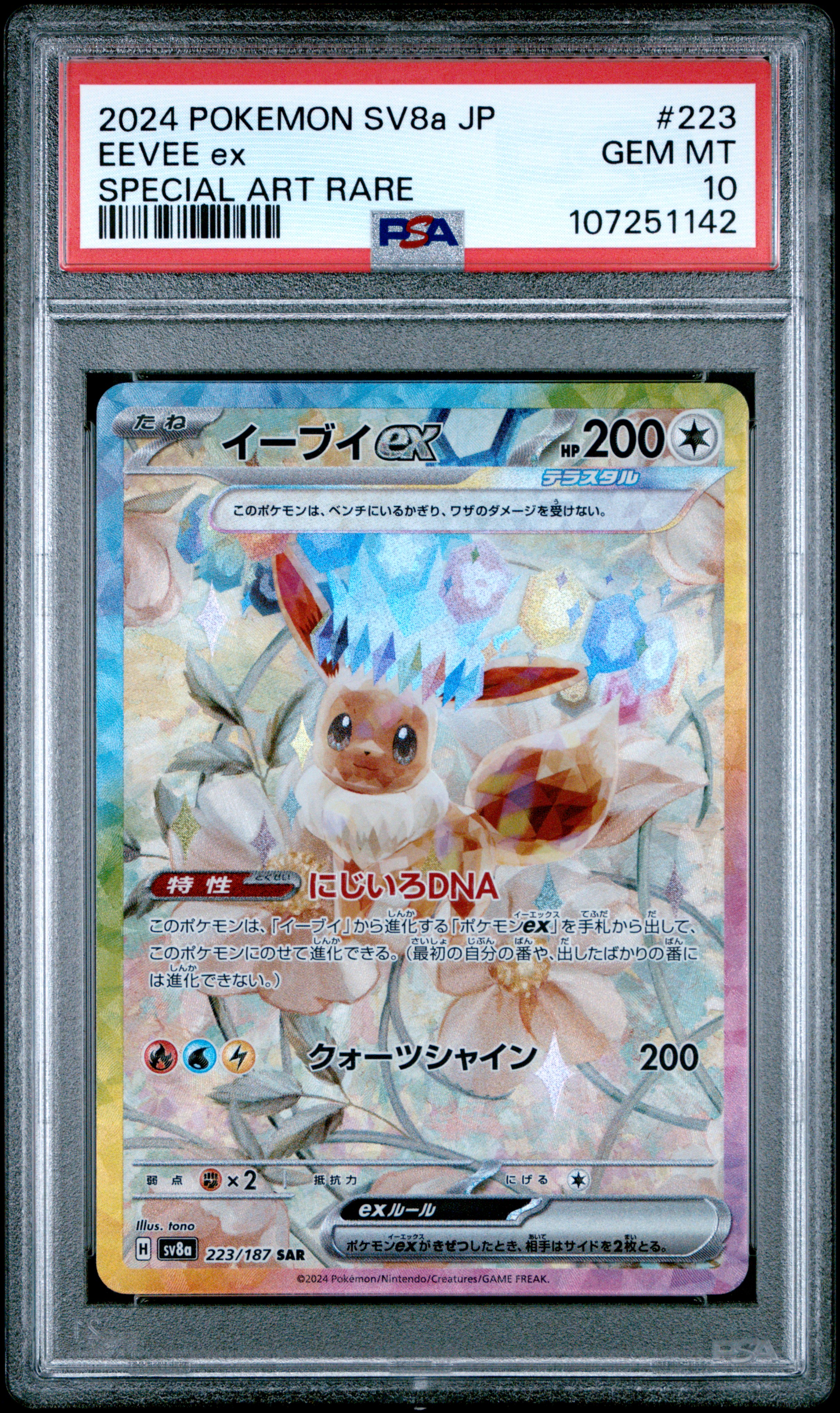 2024 EEVEE ex (#107251142)